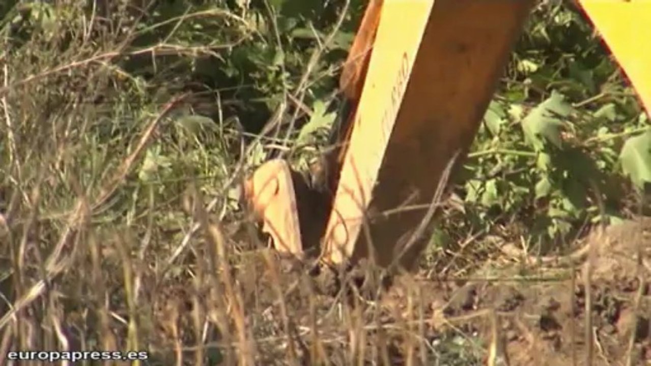 Buscan el cuerpo de Marta del Castillo en La Rinconada