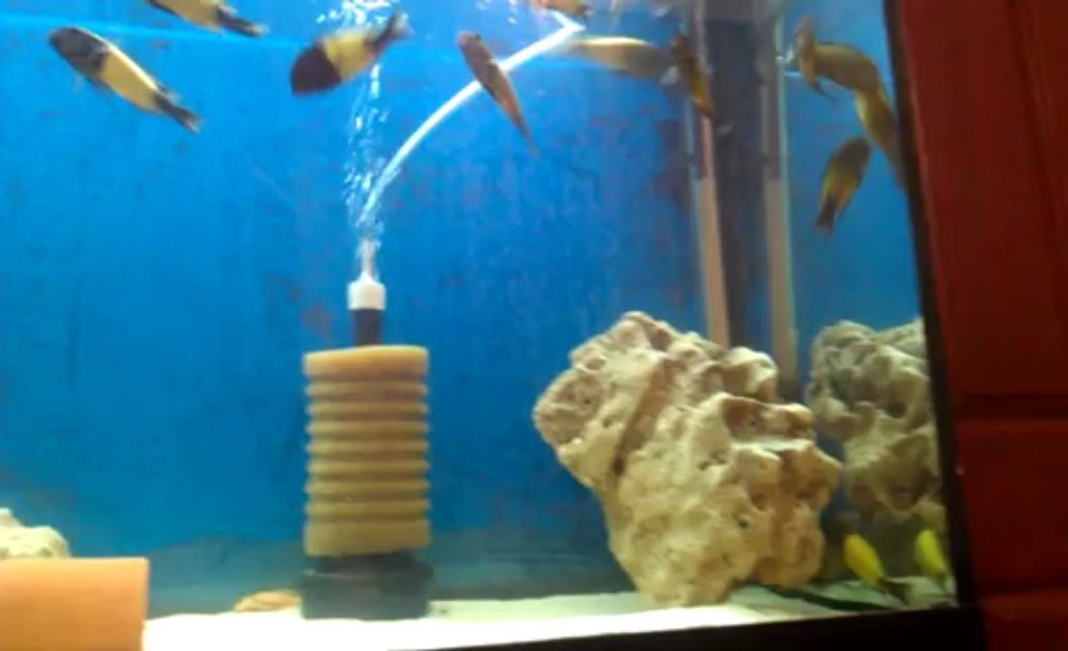 VIDEO0259