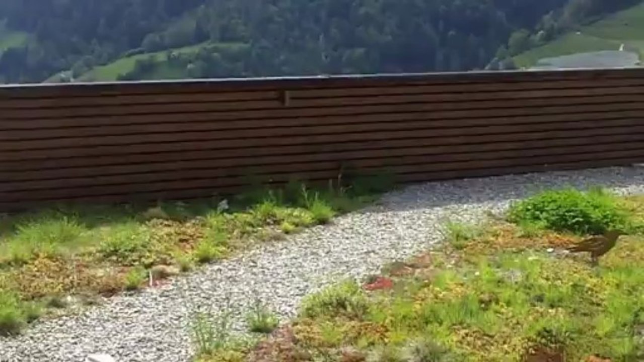 Dachterrasse Richard Fink Hotel Andreus Meran