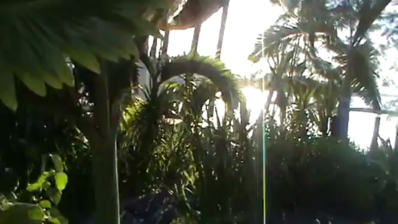 Mauritius Hotel Ambre Belle Mare D'Eau Douce Osten Mauritius