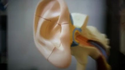 Port Richey Hearing Aid | (727) 378-8552