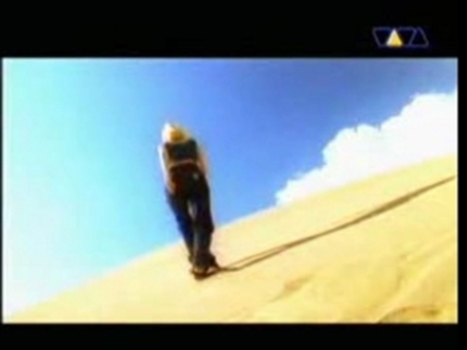 Guano_apes_rain