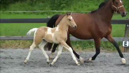 DUCHESS MAISON NEUVE Juin 2013