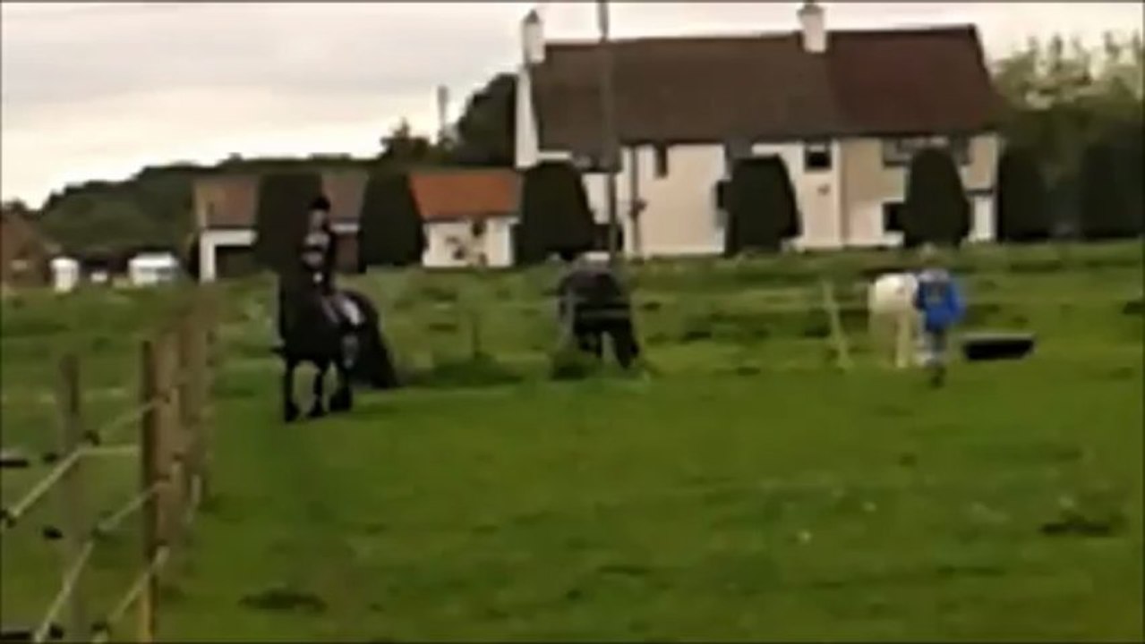 Gemma on Eva