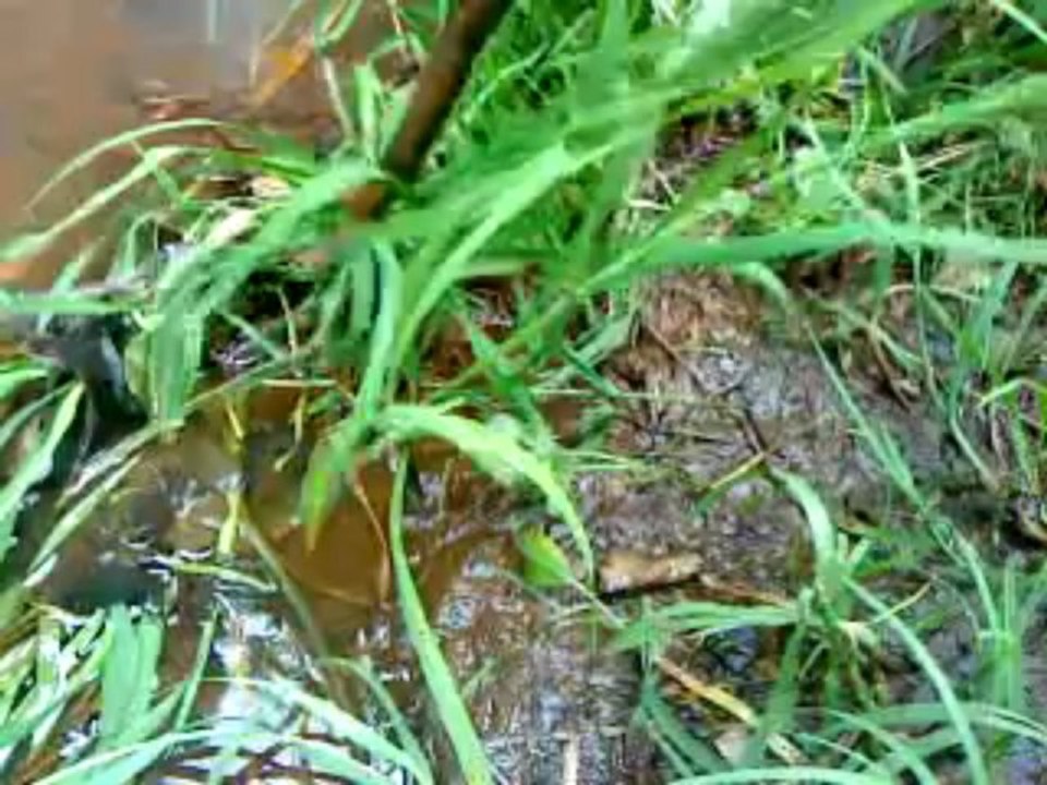 MOV01572