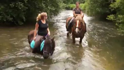 baignade jiji et rose