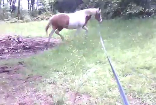 una longe main droite