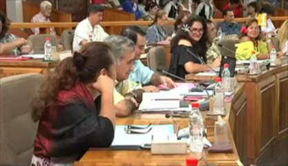 Les représentants ont dit oui ce matin, à la baisse de 10% de leurs indemnités, ainsi que celles des ministres