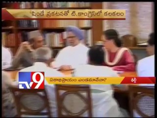 T Cong leaders unhappy with Congress opinion on Telangana