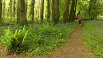 BBC Spotlight - 10/6/13