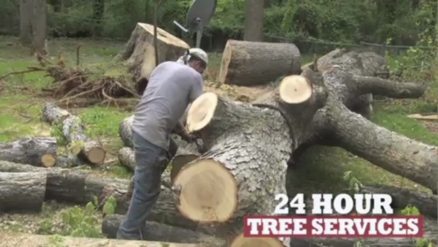 Tree Trimming Marietta | Omar & Brothers Tree Service Call (678) 973-4049