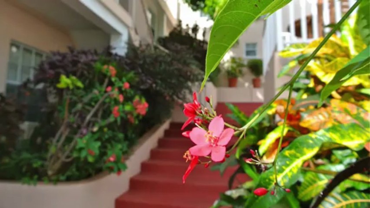 Travel2Exotic Features Delux Apartment Rentals St.lucia
