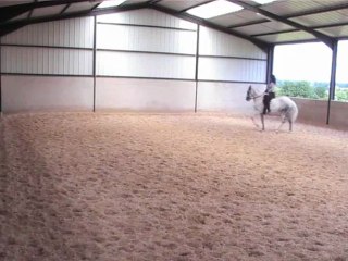 12.06.13 recherche pirouettes trot et galop