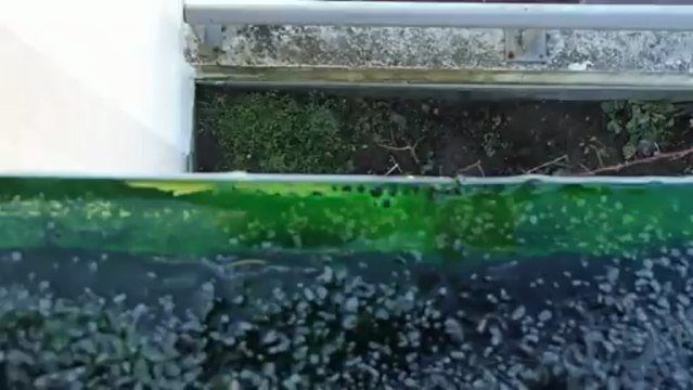 INFILTRATION TOITURE LANDES