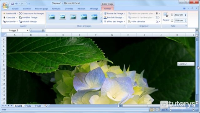 Comment insérer une image avec Excel 2007 ?