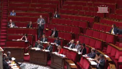 Mon intervention sur la réforme de la représentation des Français de l'étranger