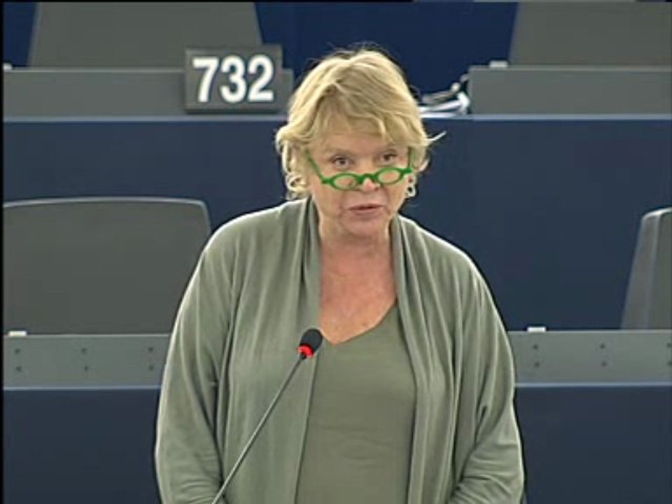 Eva Joly sur la situation au Mali (12 juin 2013)