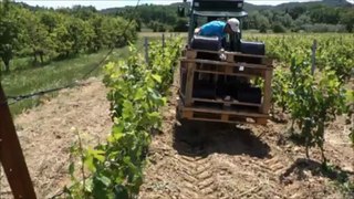 Frigoulas - Côtes du Rhône -Releveurs Partie 2