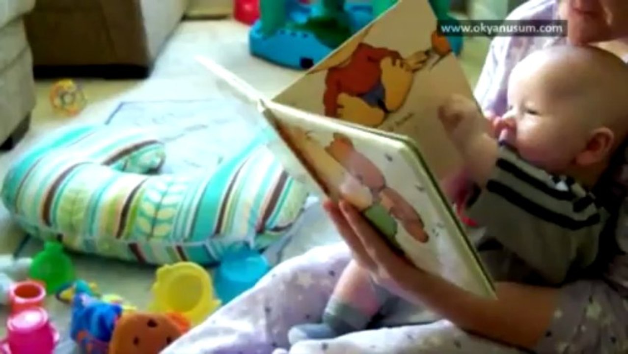 Beyin Gücü - Nöronlardan ağlara