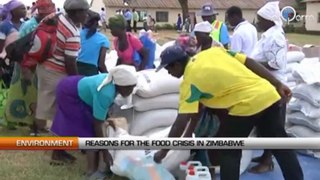 The reasons for the food crisis in Zimbabwe