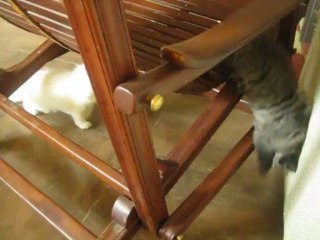 Lost on the chair trying to find way down to the floor