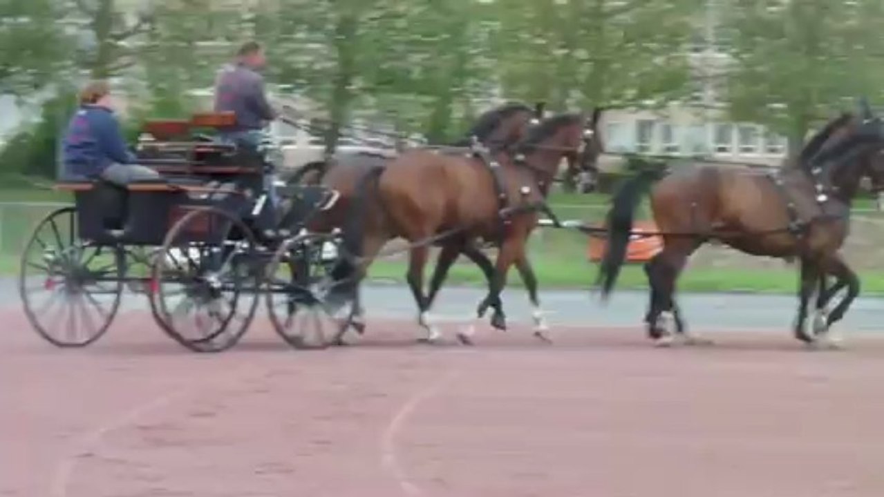 Premiers tests sur les terrains d'attelages