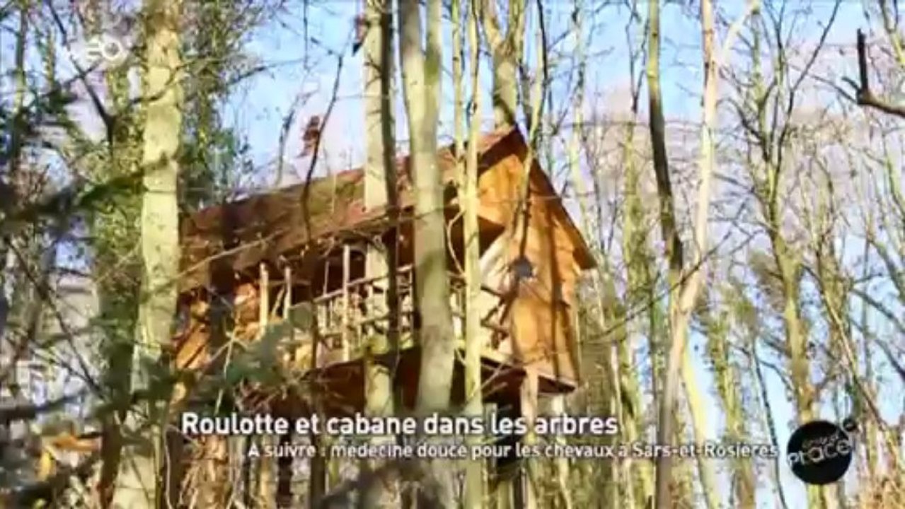 Des roulottes et cabanes au coeur des arbres