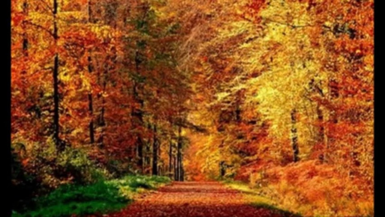 Un jour Un mois Un an.