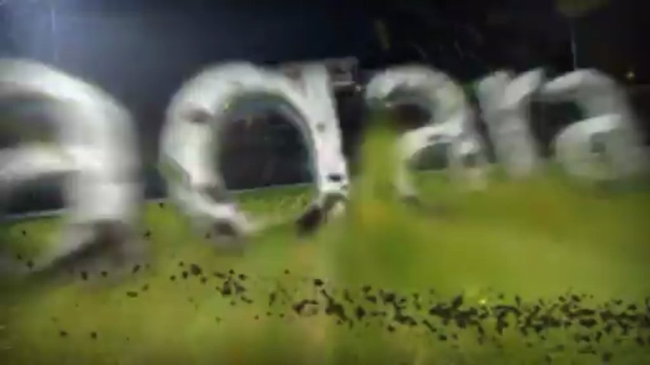 Niagara Cricket Festival 2013 Promo