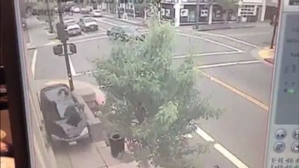 Un chien sauve 2 personnes. La mort n'etait pas loin!