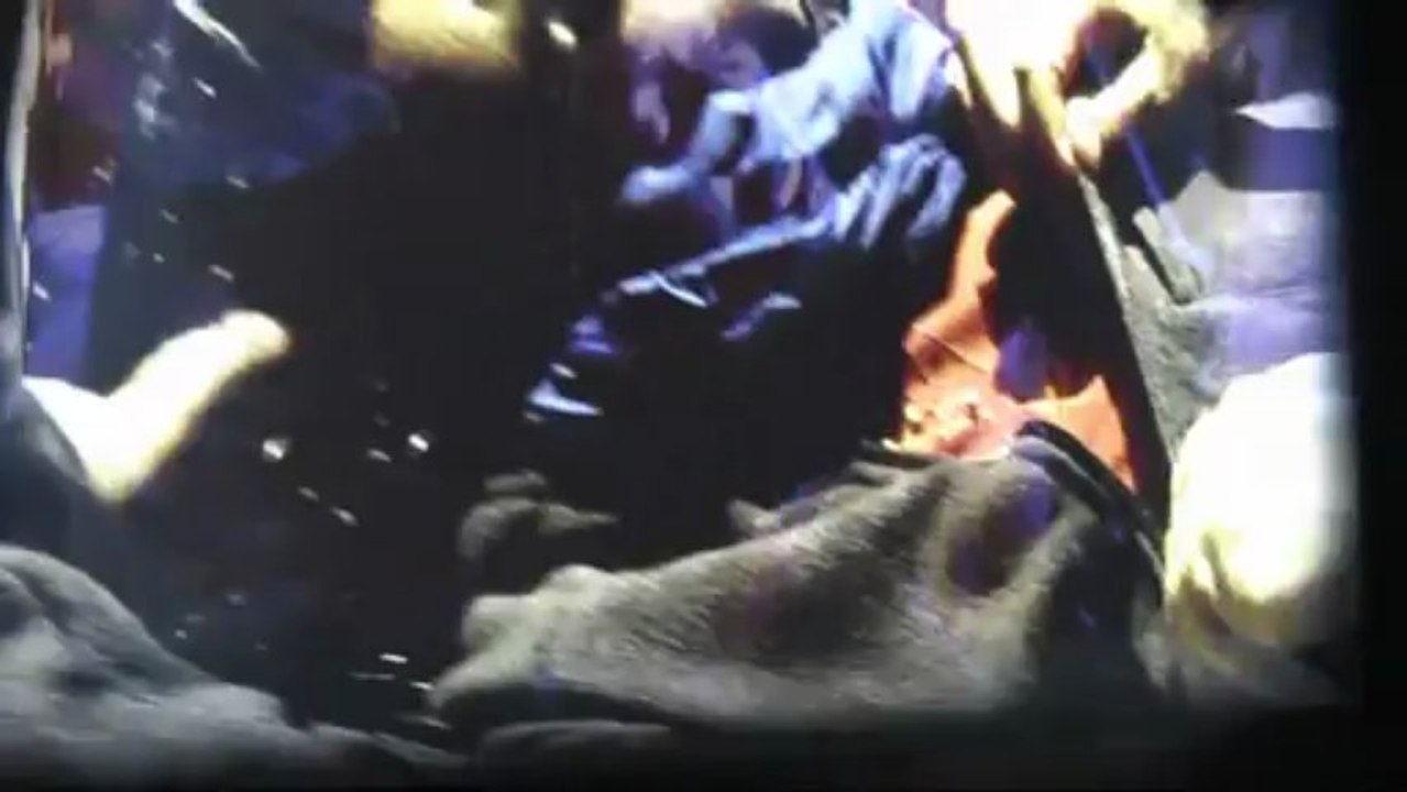 La Villa Méditerranée accueille "2031 en Méditerranée, nos futurs !" et  "Plus loin que l'horizon"