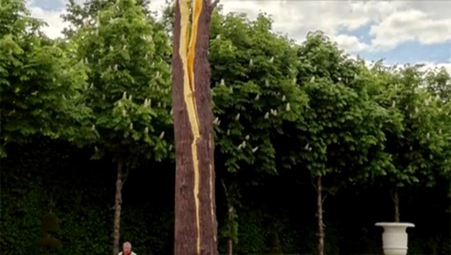Le sculpteur Giuseppe Penone investit les jardins du château de Versailles