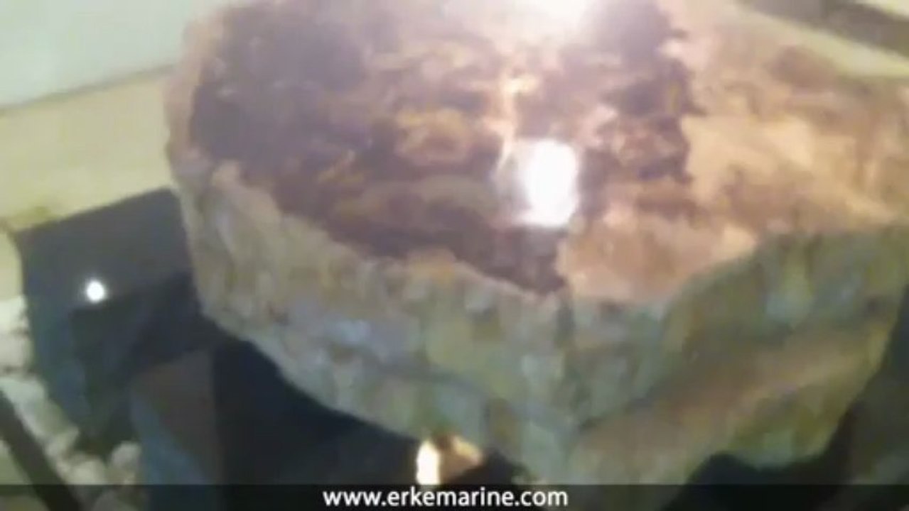 ERKE Marine, 1 Million Year Old Petrified Tree - China - www.erkemarine.com