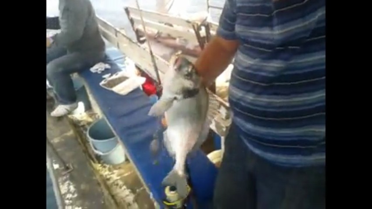 ismail kaptan balık avı 12.06.2013 tel.05334559097