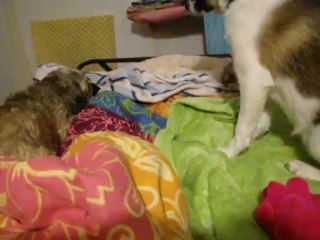 souvenir de méli-mélo