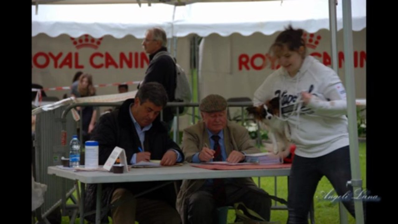 Exposition de L'isle Adam - 20 mai 2012 (4ème expo de Gala)