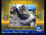 Hasb-e-Haal - 13th June 2013