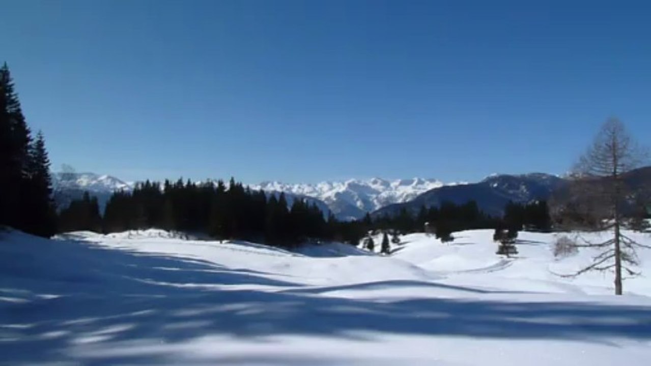 Le plateau de Pokljuka