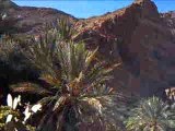 Tenghir / gorges du Todra ( Maroc)