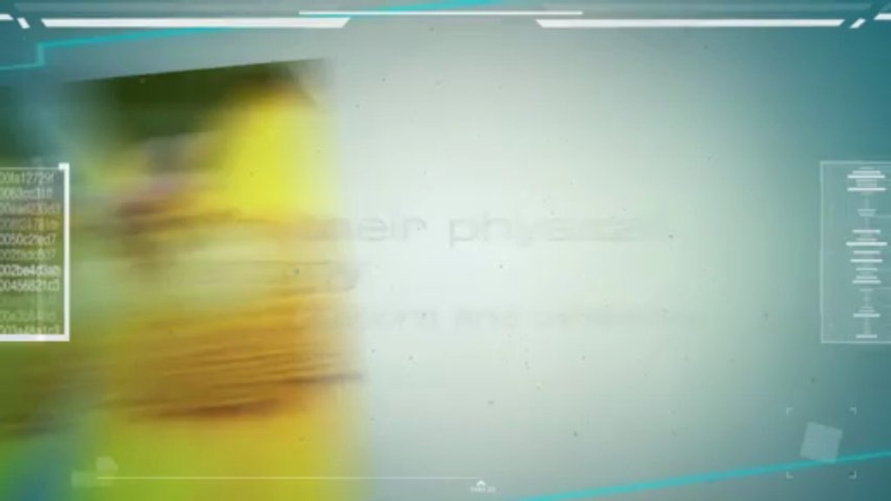 Why Are Bees So Important to Humans? - Amazing Animal Books