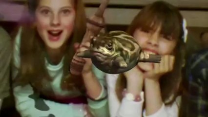 Wonderbook : Book Of Potions - Trailer E3 2013