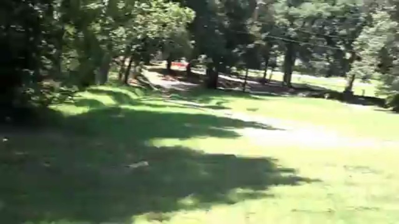 Cut Grass Video 5