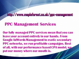 Adwords Management