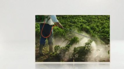 Bugeaters Pest Control LLC (402) 480-1845