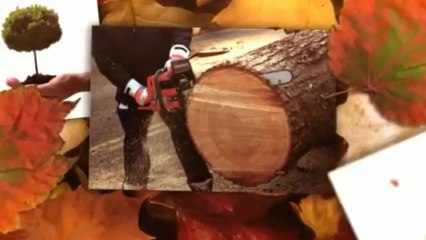 Fine Cut & Trim - (410) 688-2801