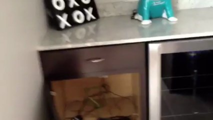 110 Home Theater System By Lelch Inc