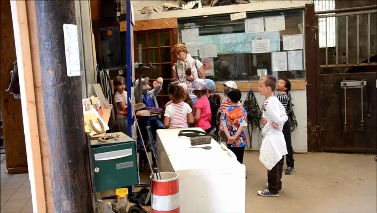 Ecoles de Pont-de-Vaux et St-Bénigne Pré fleuri juin 2013.