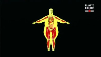 33 000 Calories Par Jour