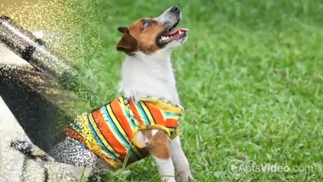 AVA Ballard Apartments in Seattle, WA - ForRent.com