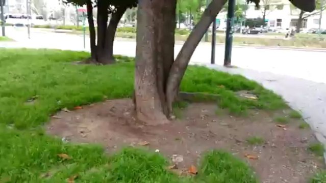 Videotest 720p Samsung Galaxy S3 (per confronto di giorno con Nokia Lumia 820)